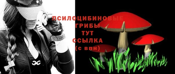 круглые Алзамай