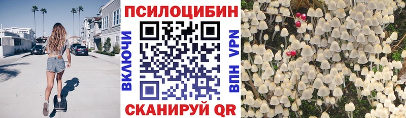 блэк спрут tor  Нолинск  Галлюциногенные грибы прущие грибы 